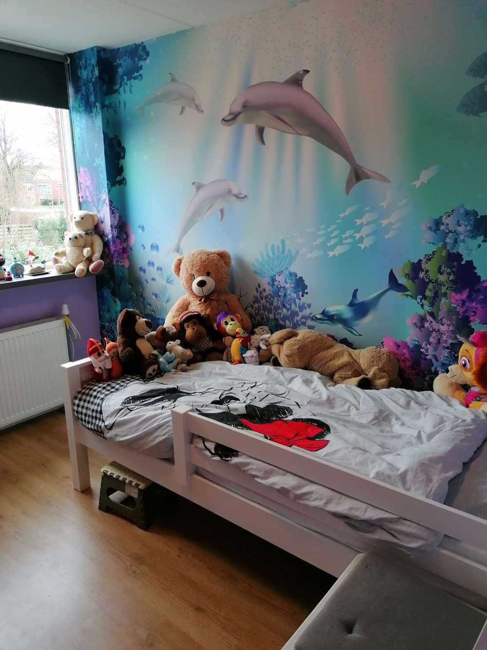 Le monde sous-marin avec les dauphins