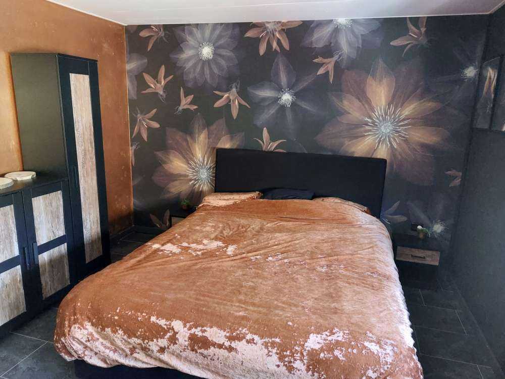 Fleurs de clématites