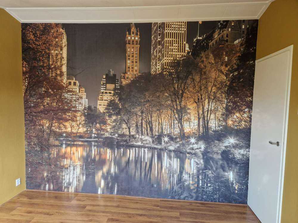 Une nuit à New York