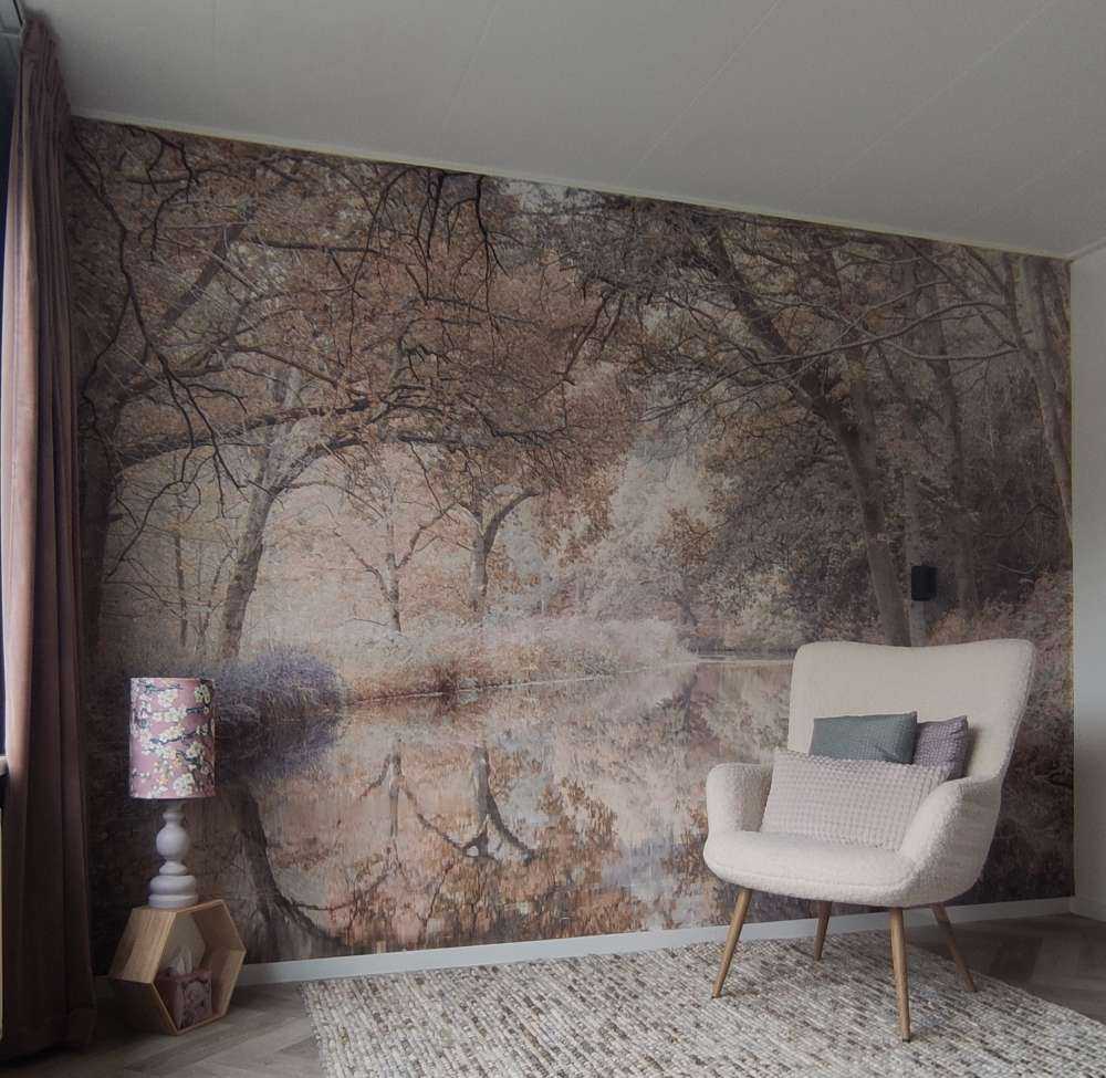 Rivière dans les bois