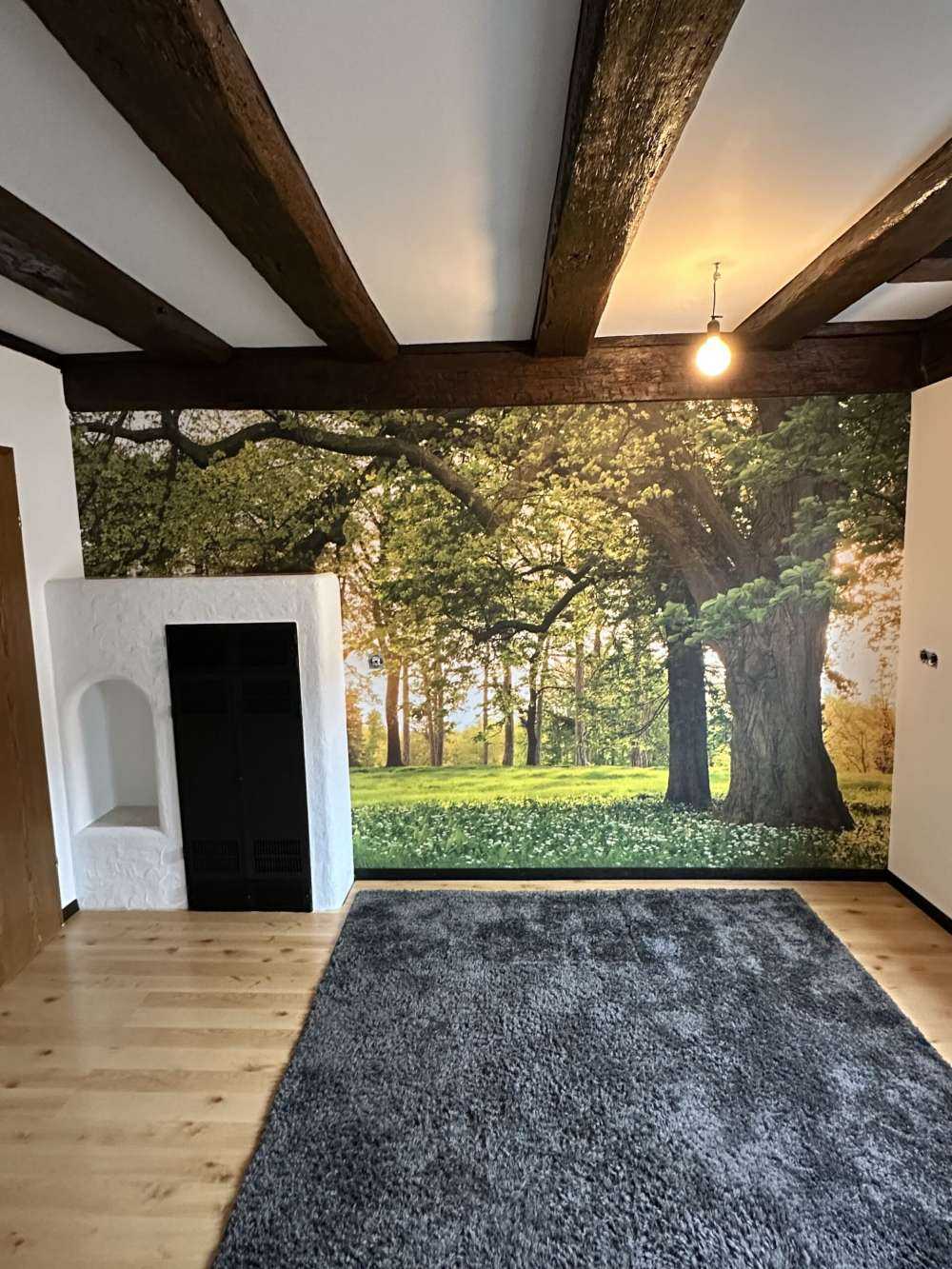 Espace ouvert dans la forêt