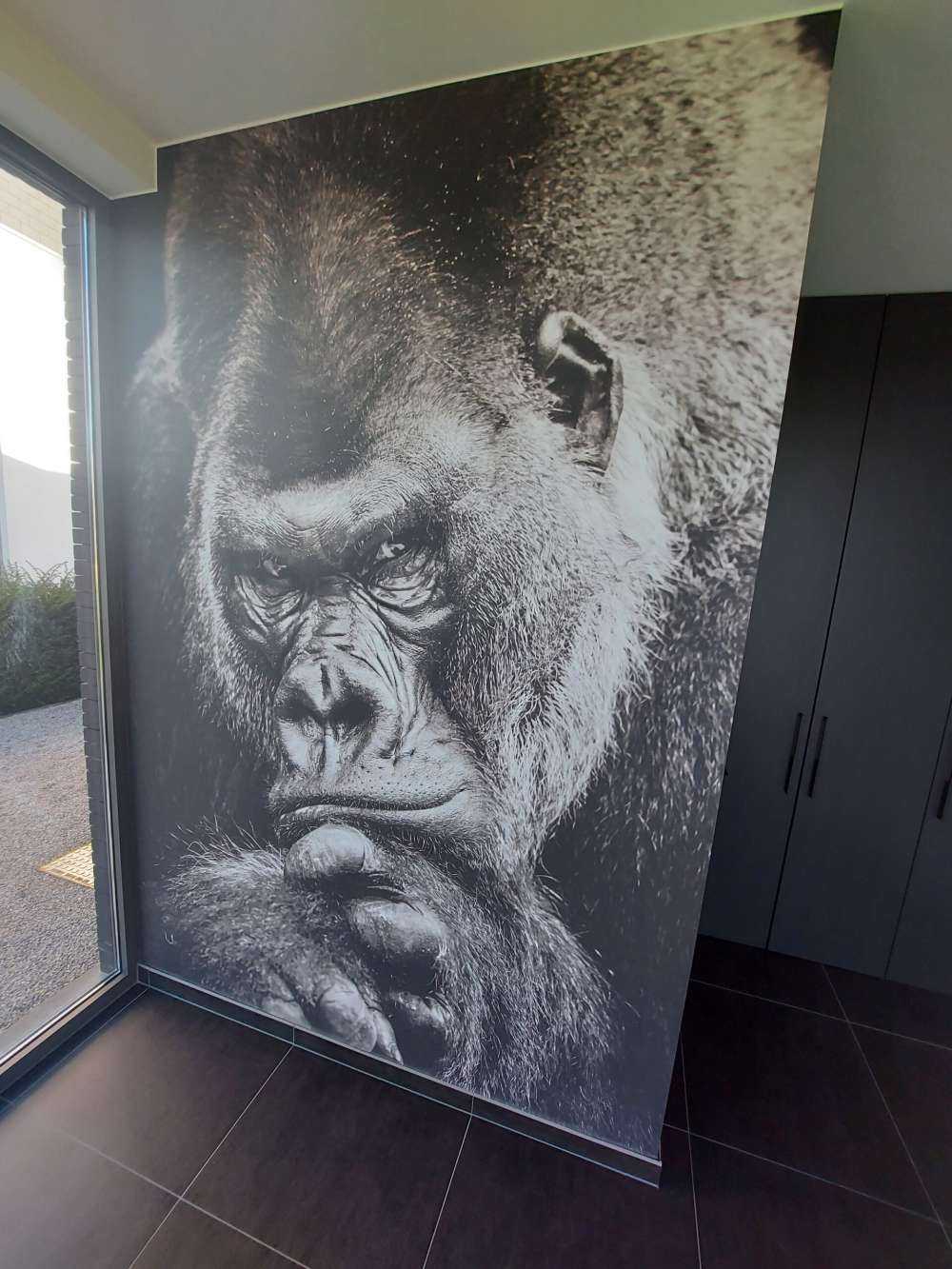 Gros plan d'un gorille