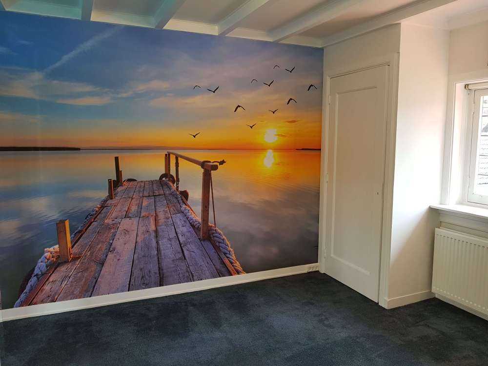 Oiseaux au-dessus de la mer