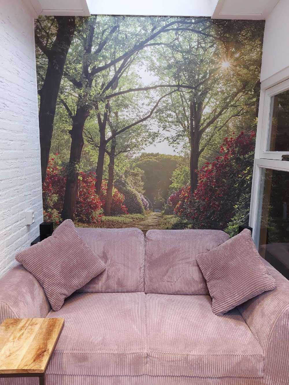 Lever de soleil sur le chemin avec des rhododendrons