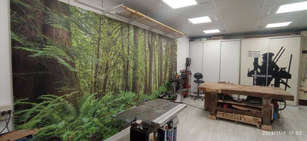 Sentier en pierres à travers la forêt