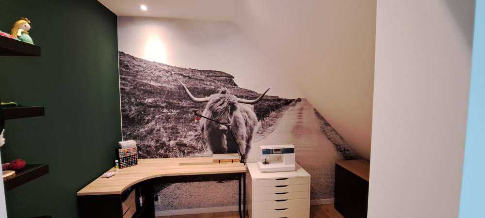 Le Highland écossais sur la route