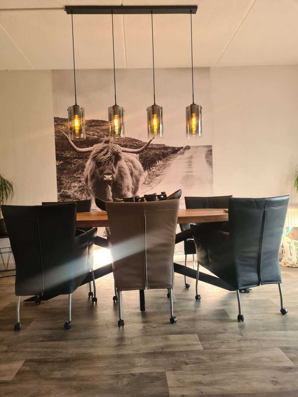 Le Highland écossais sur la route