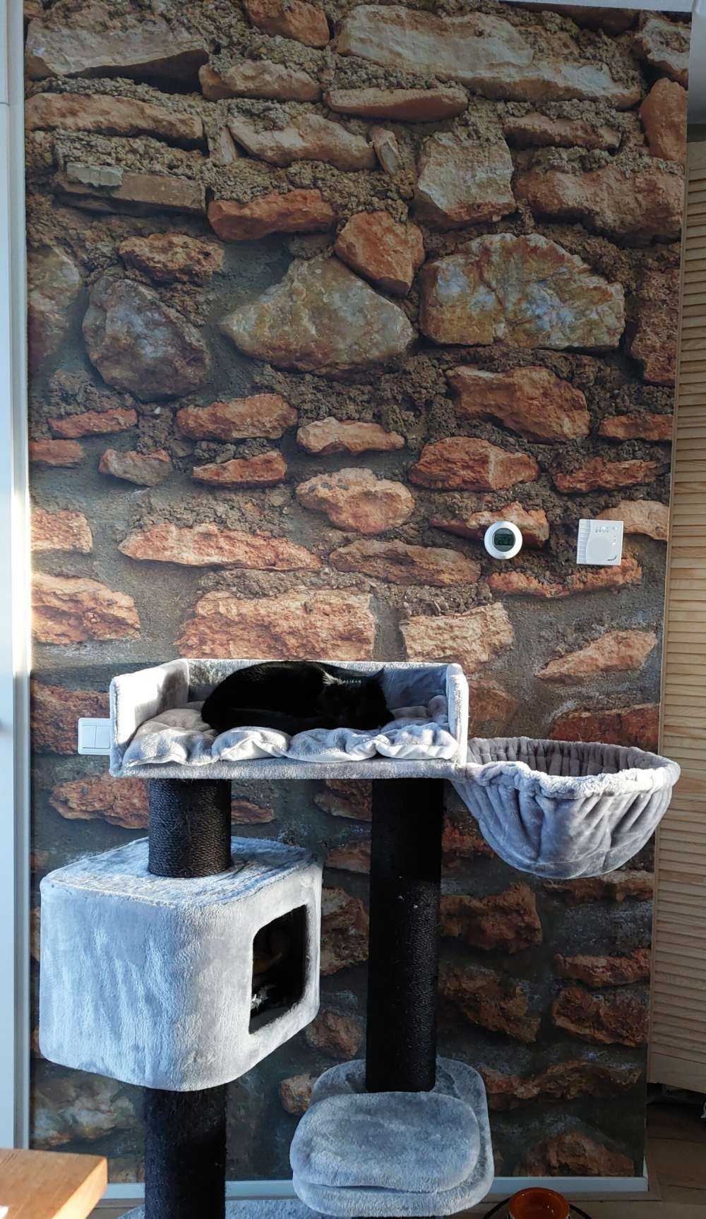 Grand mur avec des pierres brutes de différentes tailles