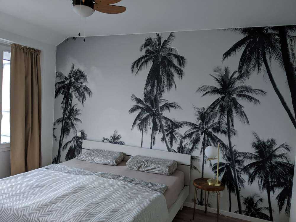 Palmiers en noir et blanc