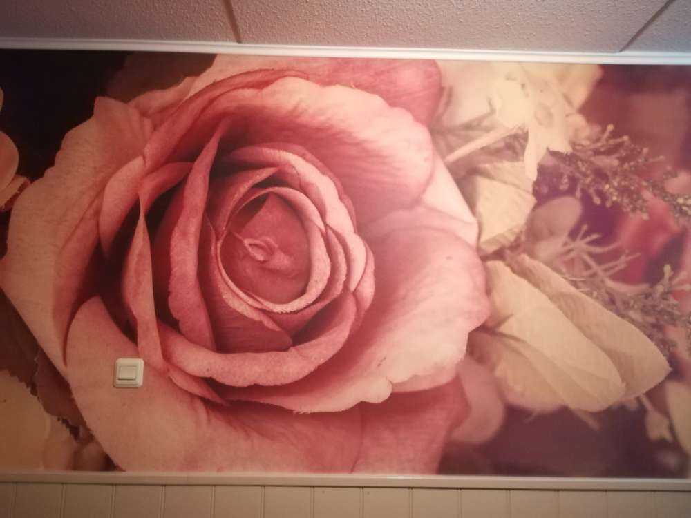 Roses roses vintage