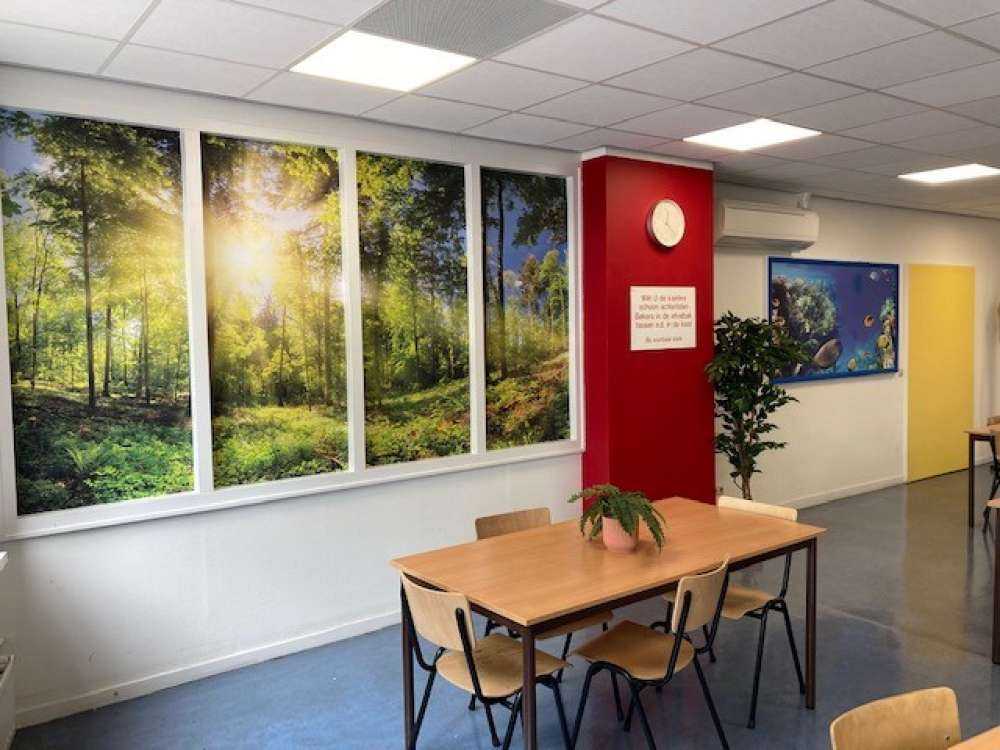 Une forêt avec des rayons de soleil