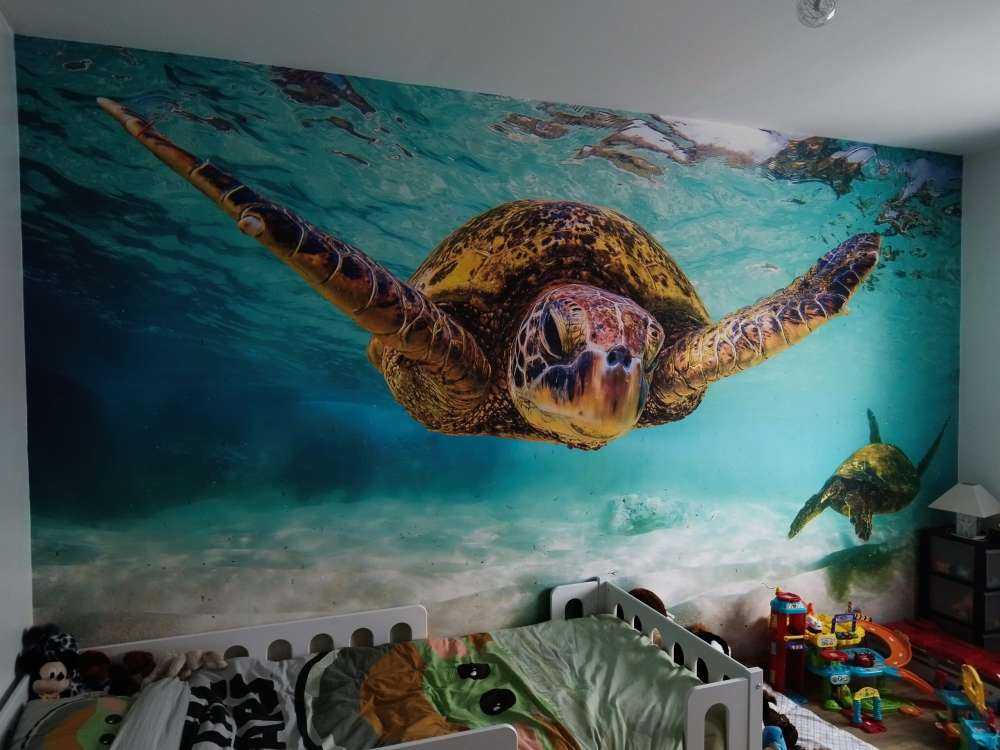 Tortue de mer dans l'océan