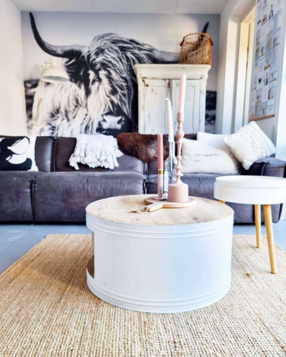 Le Highland écossais en noir et blanc