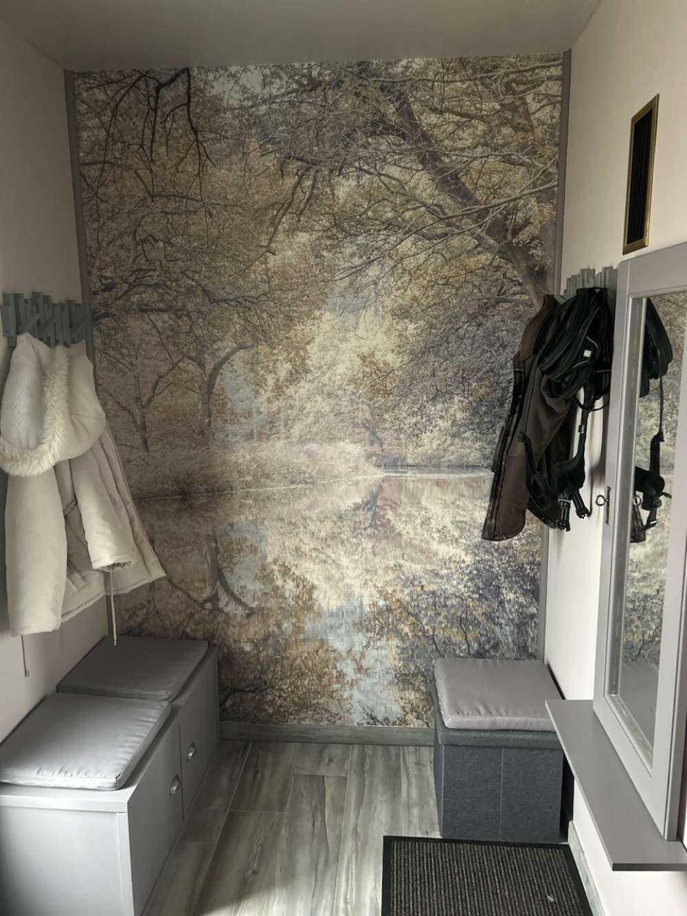 Rivière dans les bois