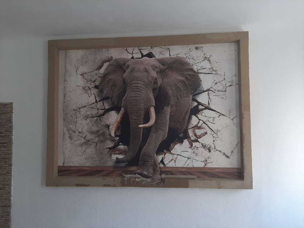 Grand éléphant hors du mur