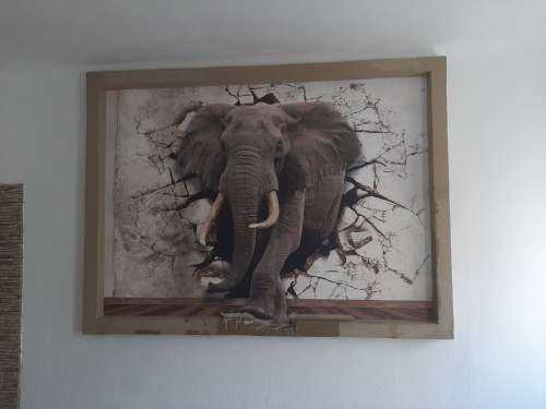 Grand éléphant hors du mur