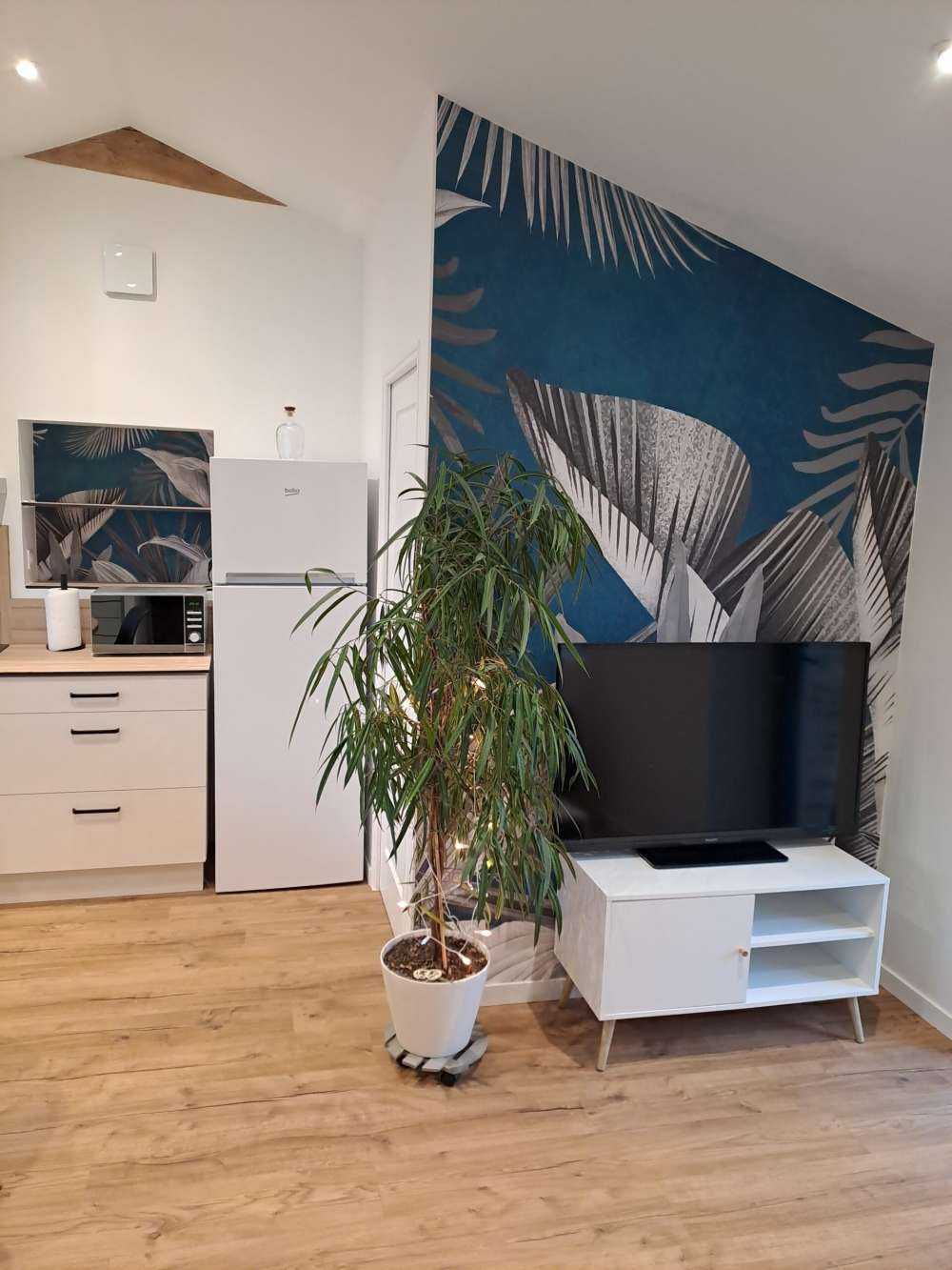 Feuilles tropicales sur fond bleu canard