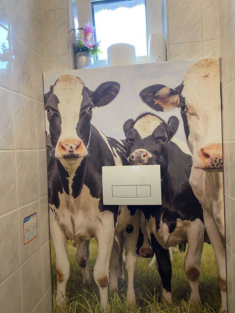 Troupeau de vaches