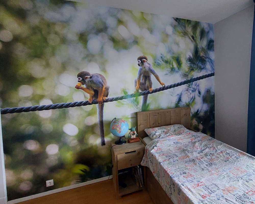 Singes écureuils sur corde