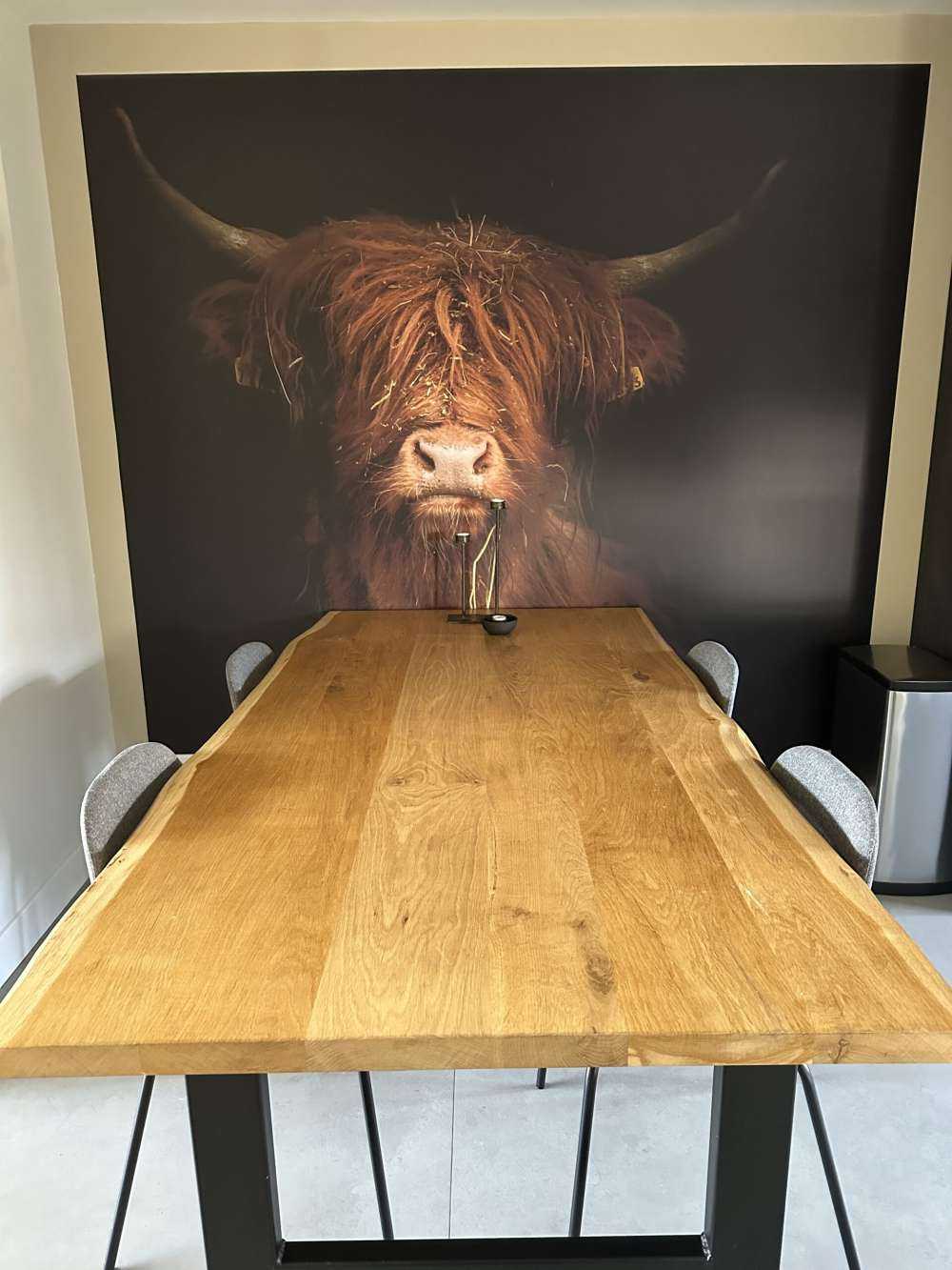 Portrait Scottish Highlander