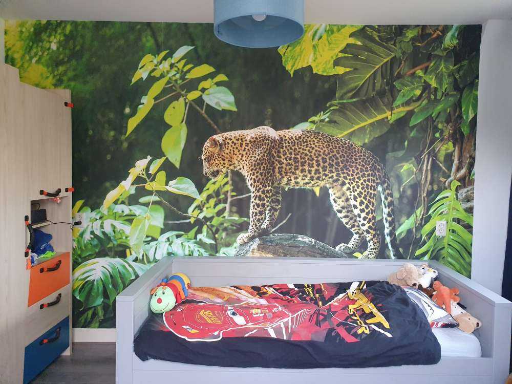 Léopard sur un rocher