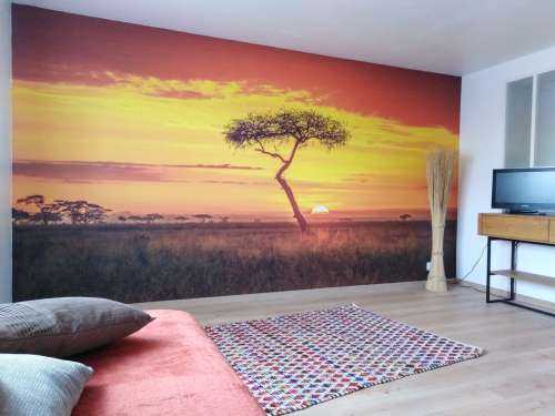 Primordial Africa