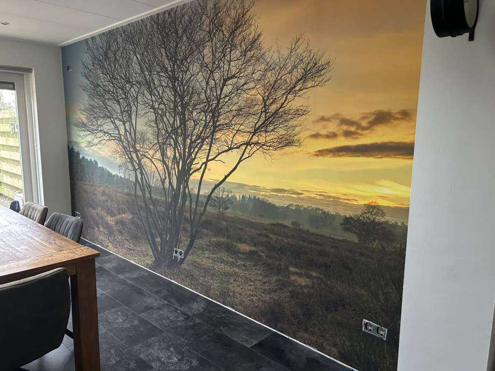 Lever de soleil sur la lande