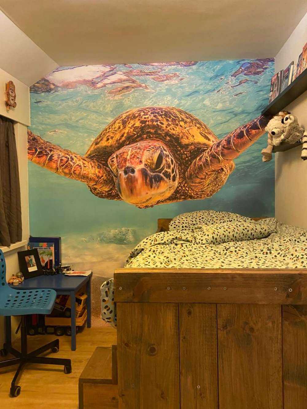Tortue de mer dans l'océan