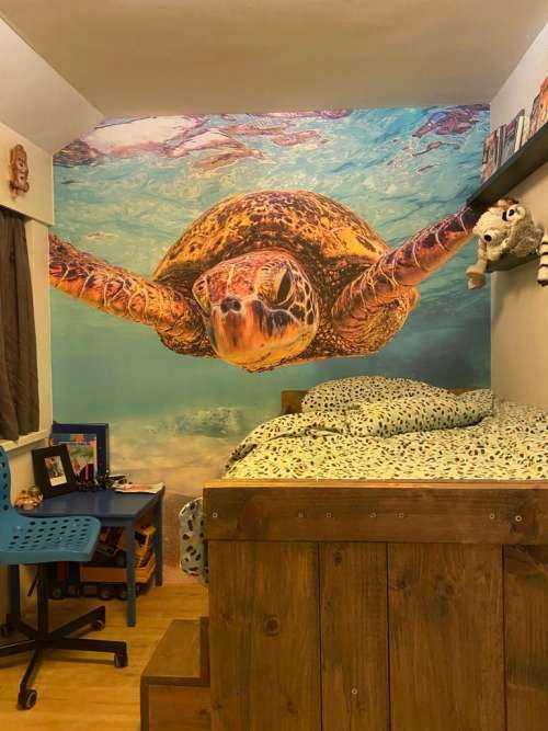 Tortue de mer dans l'océan