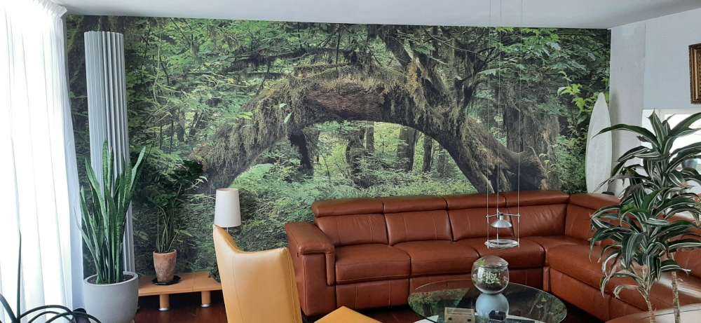 Arbre dans une arche