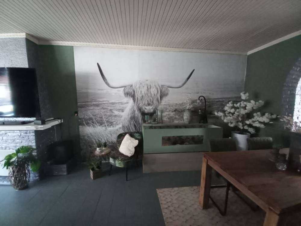 Highland écossais avec roseau