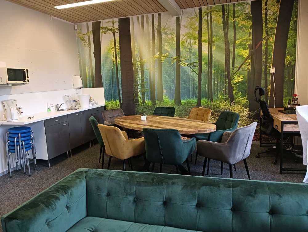 Matin dans la forêt