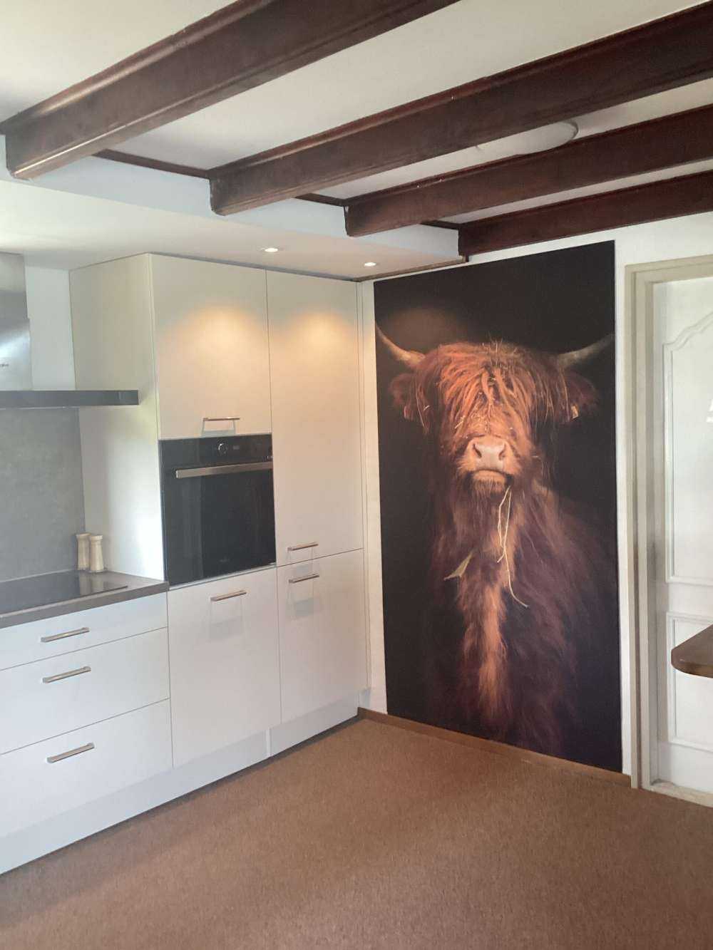 Portrait Scottish Highlander