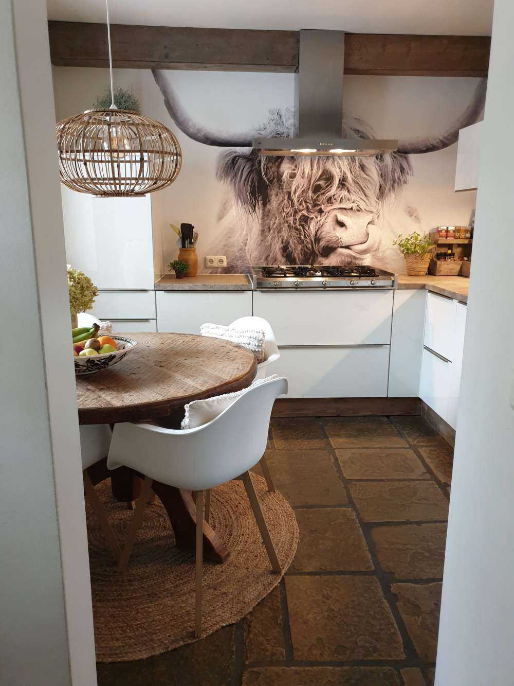 Drôle de Highland écossais