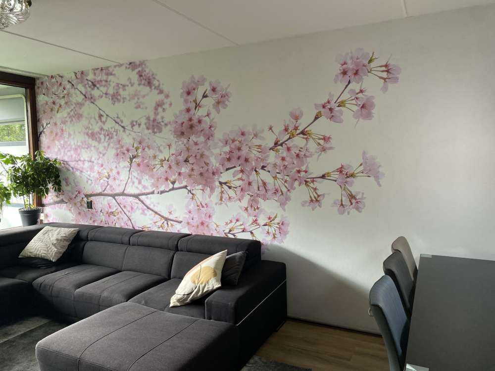 Branches de fleurs roses