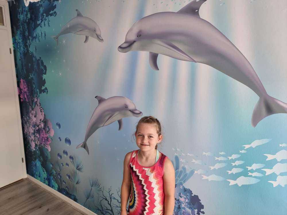 Le monde sous-marin avec les dauphins