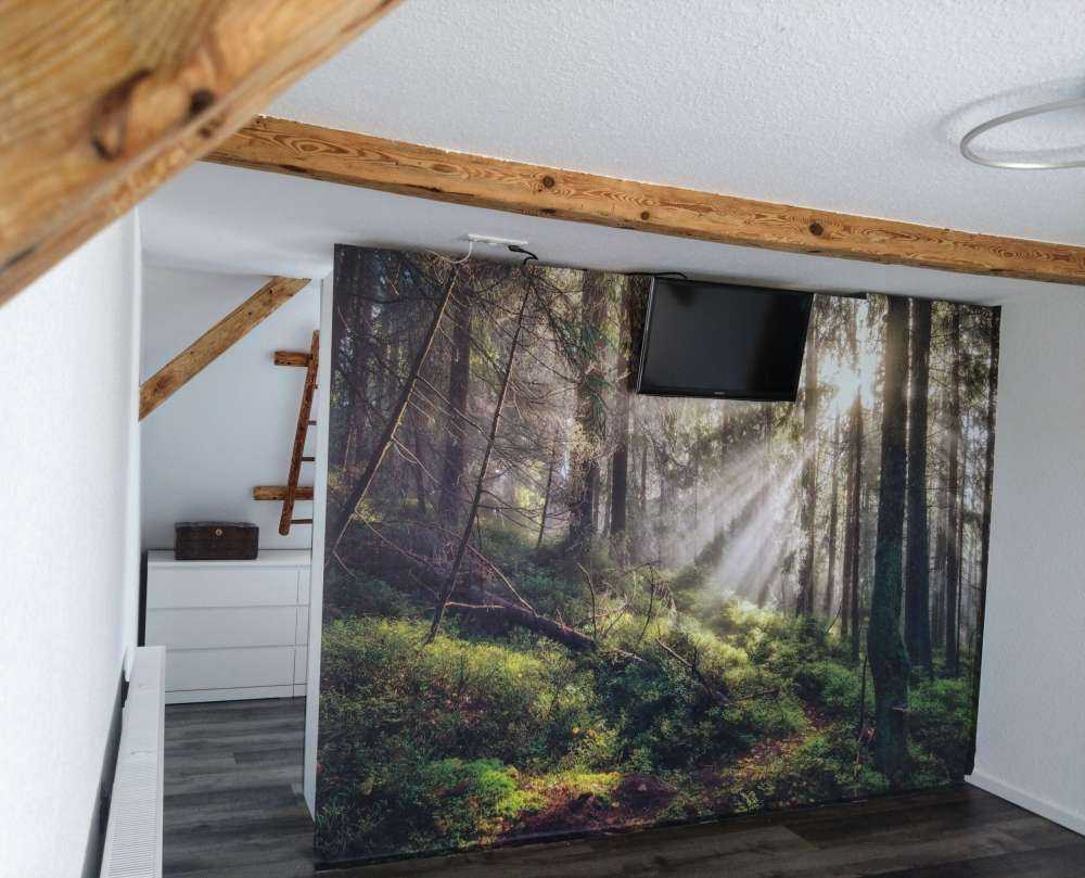 Forêt d'automne ensoleillée