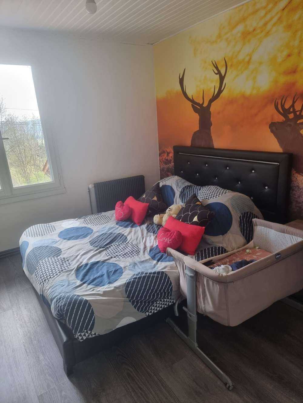 Cerfs au coucher du soleil