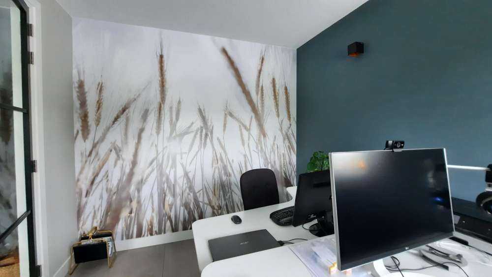 Des rayons de soleil à travers le blé