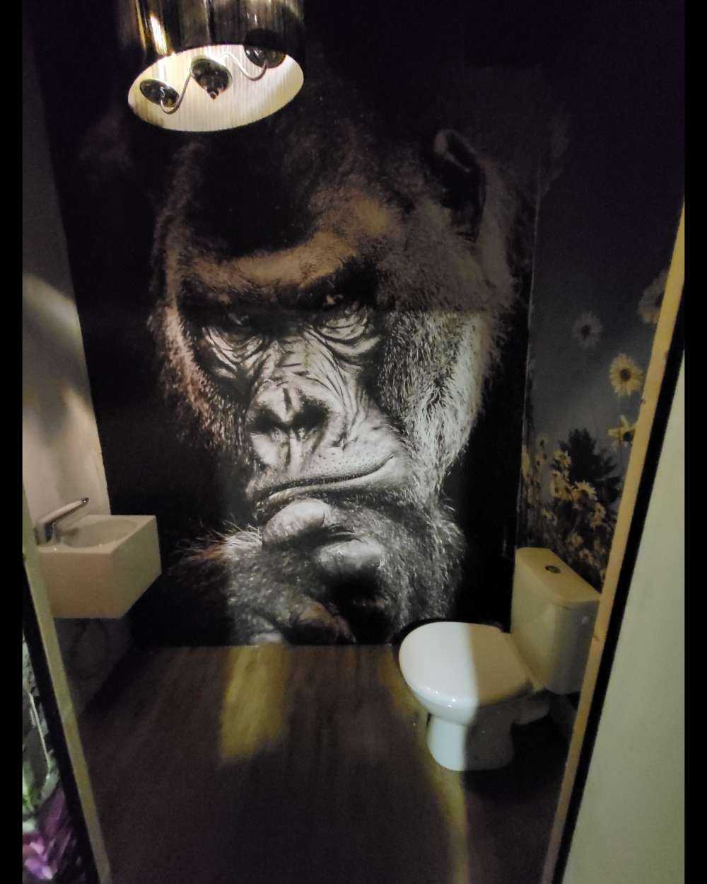 Gros plan d'un gorille