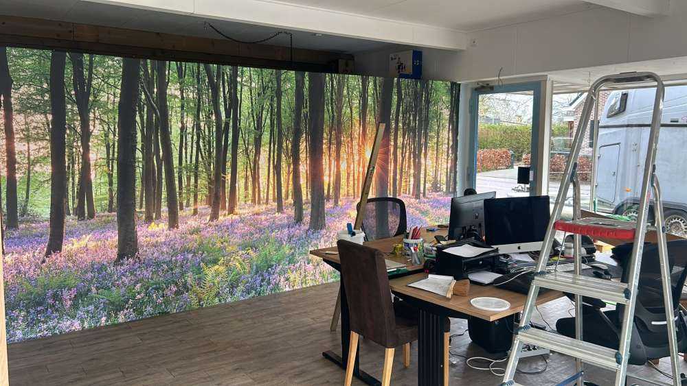 Chemin forestier au lever du soleil