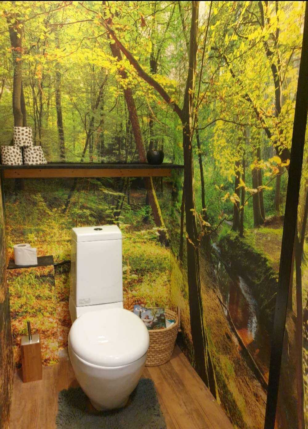 Forêt avec un ruisseau