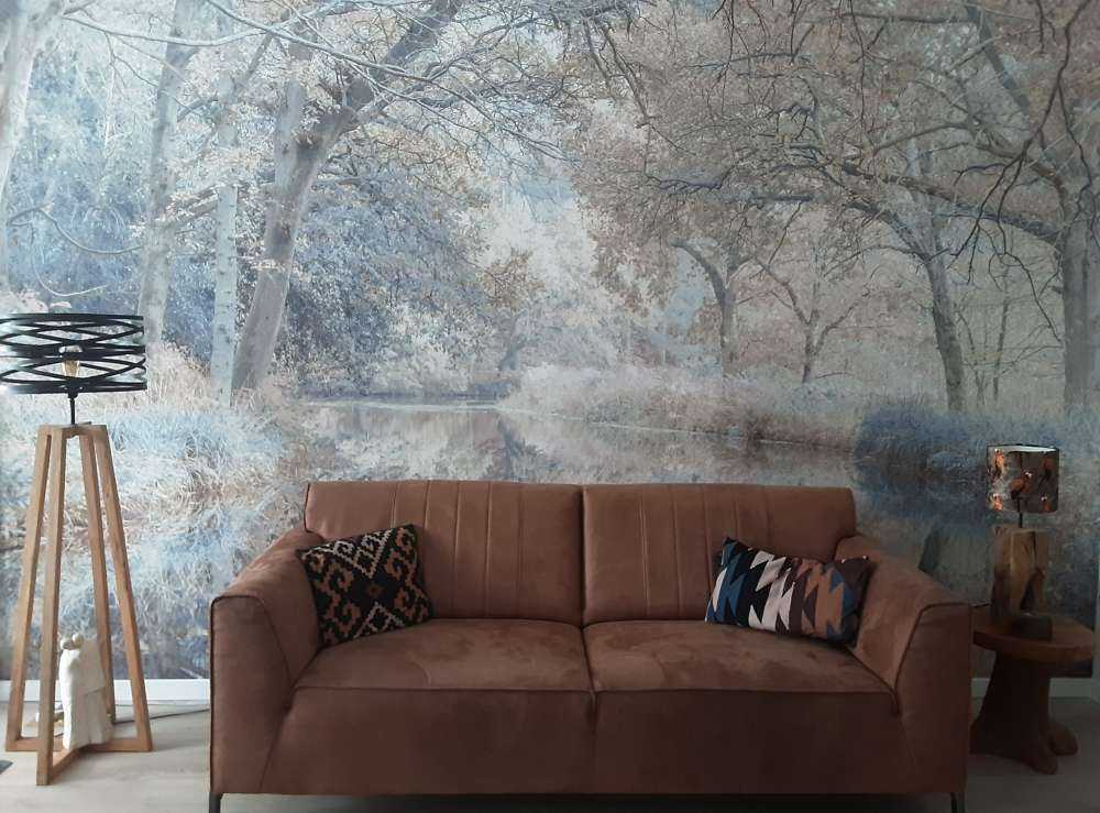 Rivière dans les bois