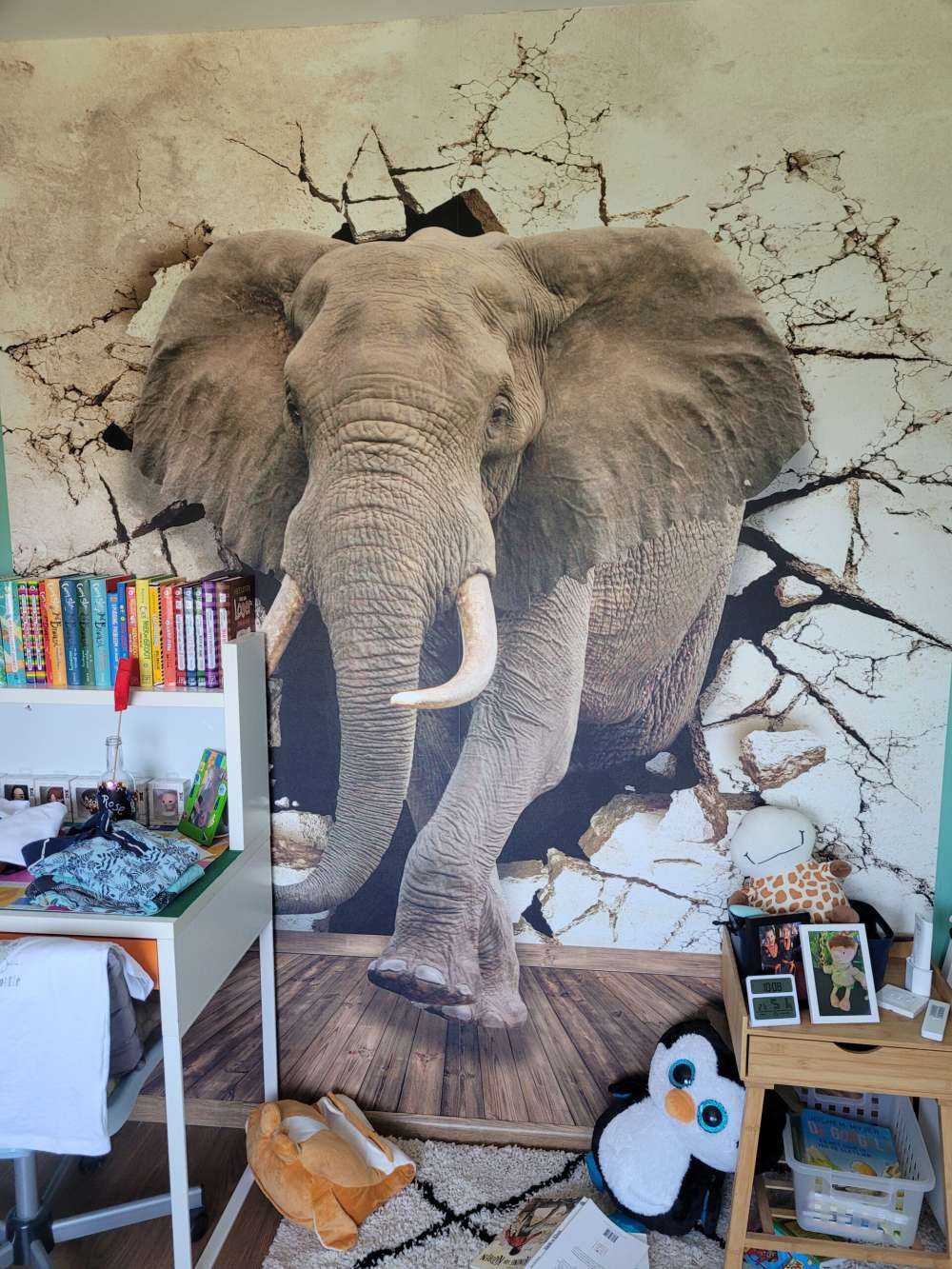 Grand éléphant hors du mur