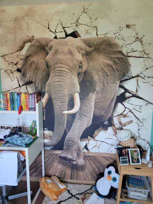 Grand éléphant hors du mur