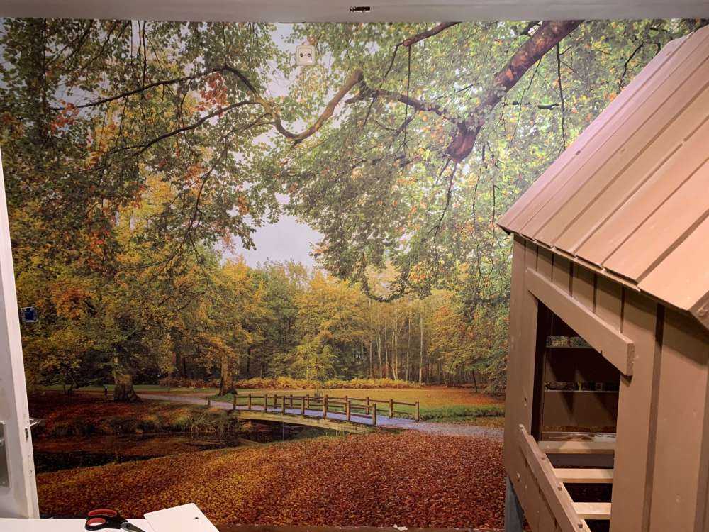 Un pont dans la forêt