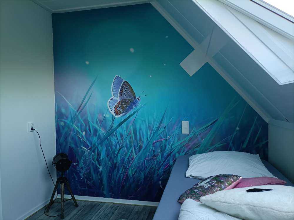 Papillon dans la rosée du matin