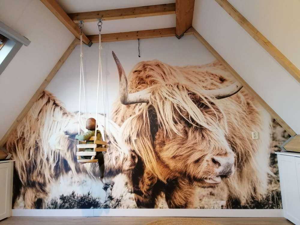 Deux Highlands écossais