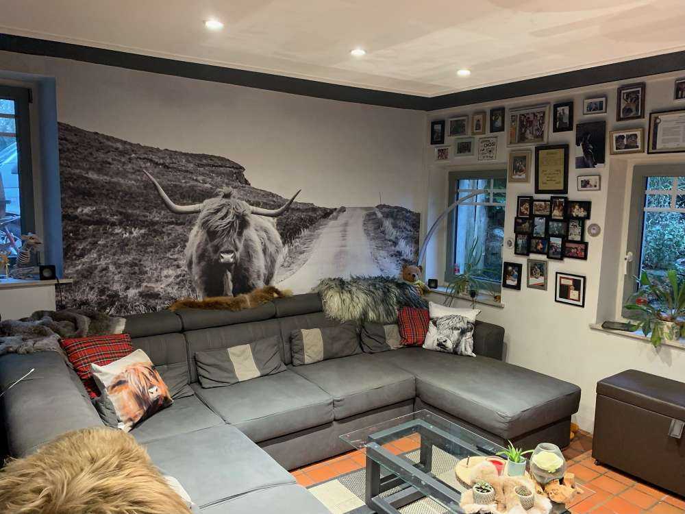 Le Highland écossais sur la route