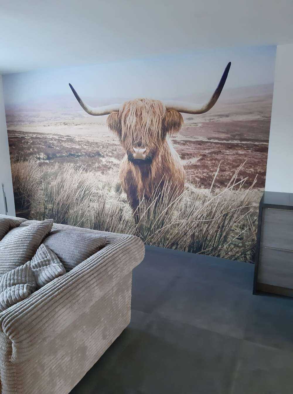 Highland écossais avec roseau